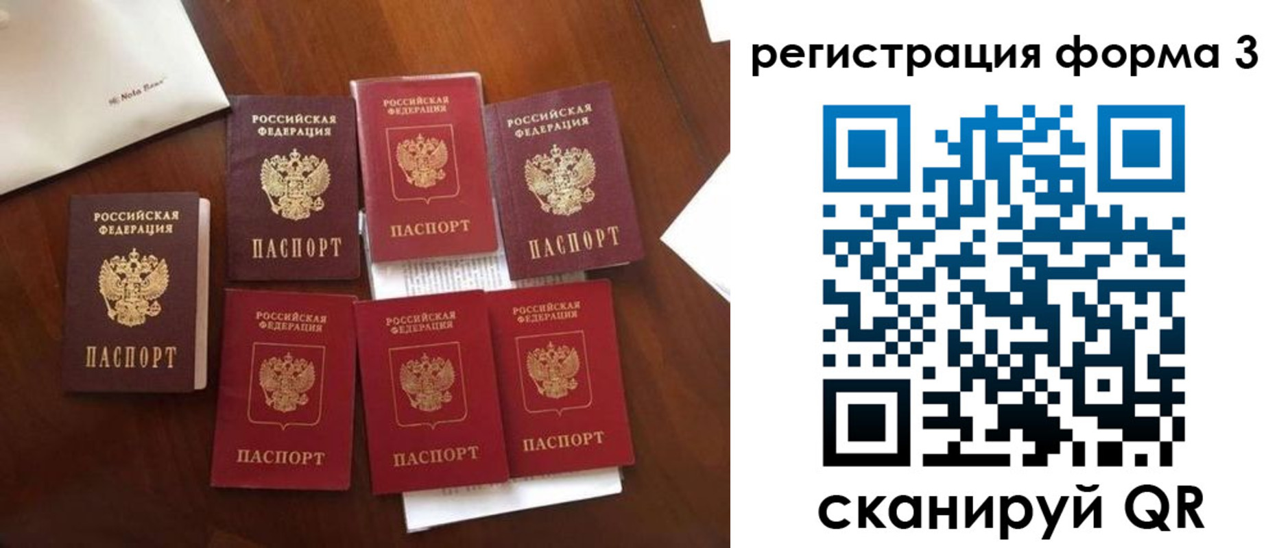 прописка 2025 в Мончегорске
